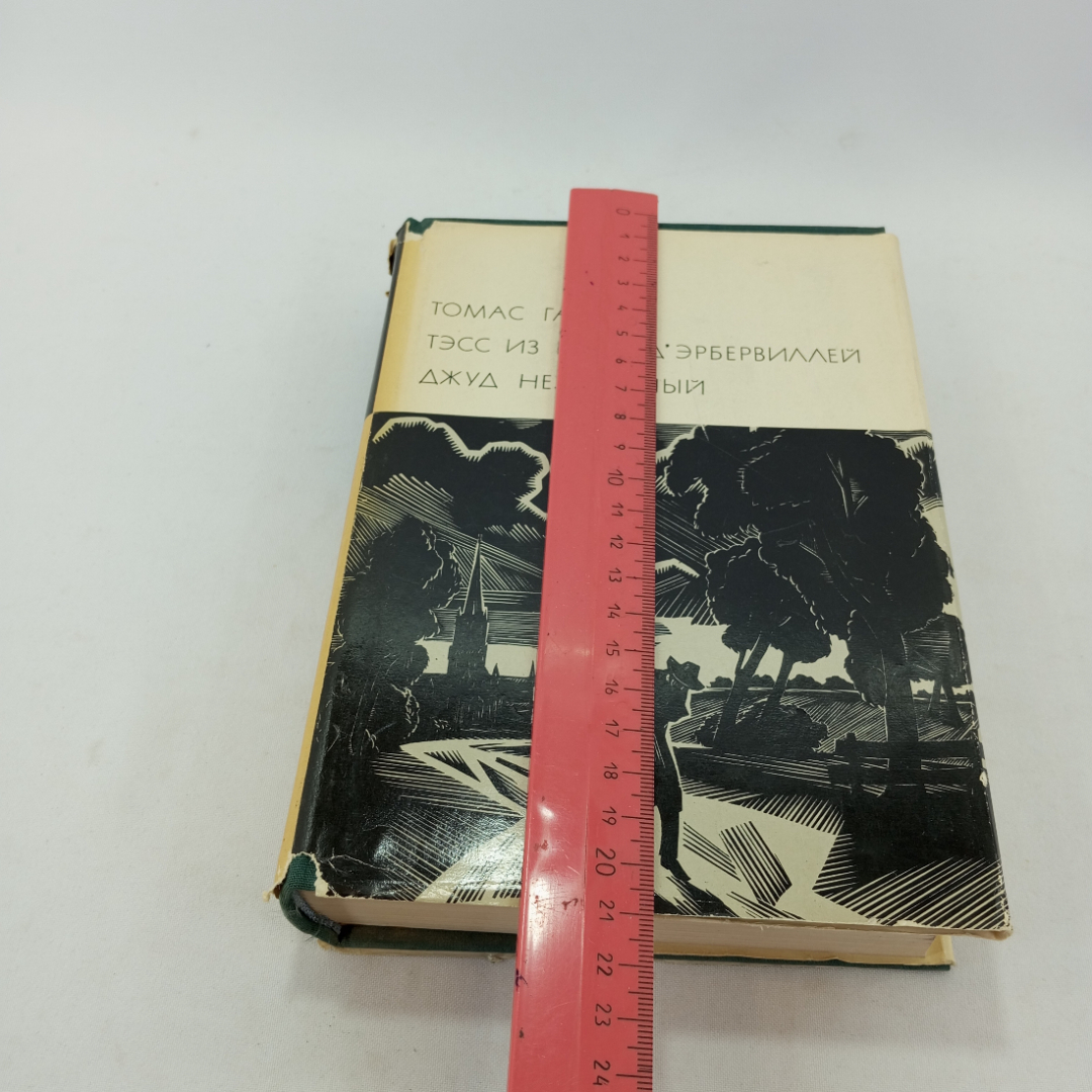 Тэсс из рода Д*Эрбервиллей. Джуд Незаметный. Томас Гарди, БВЛ, 1970 год, том 71. Картинка 7