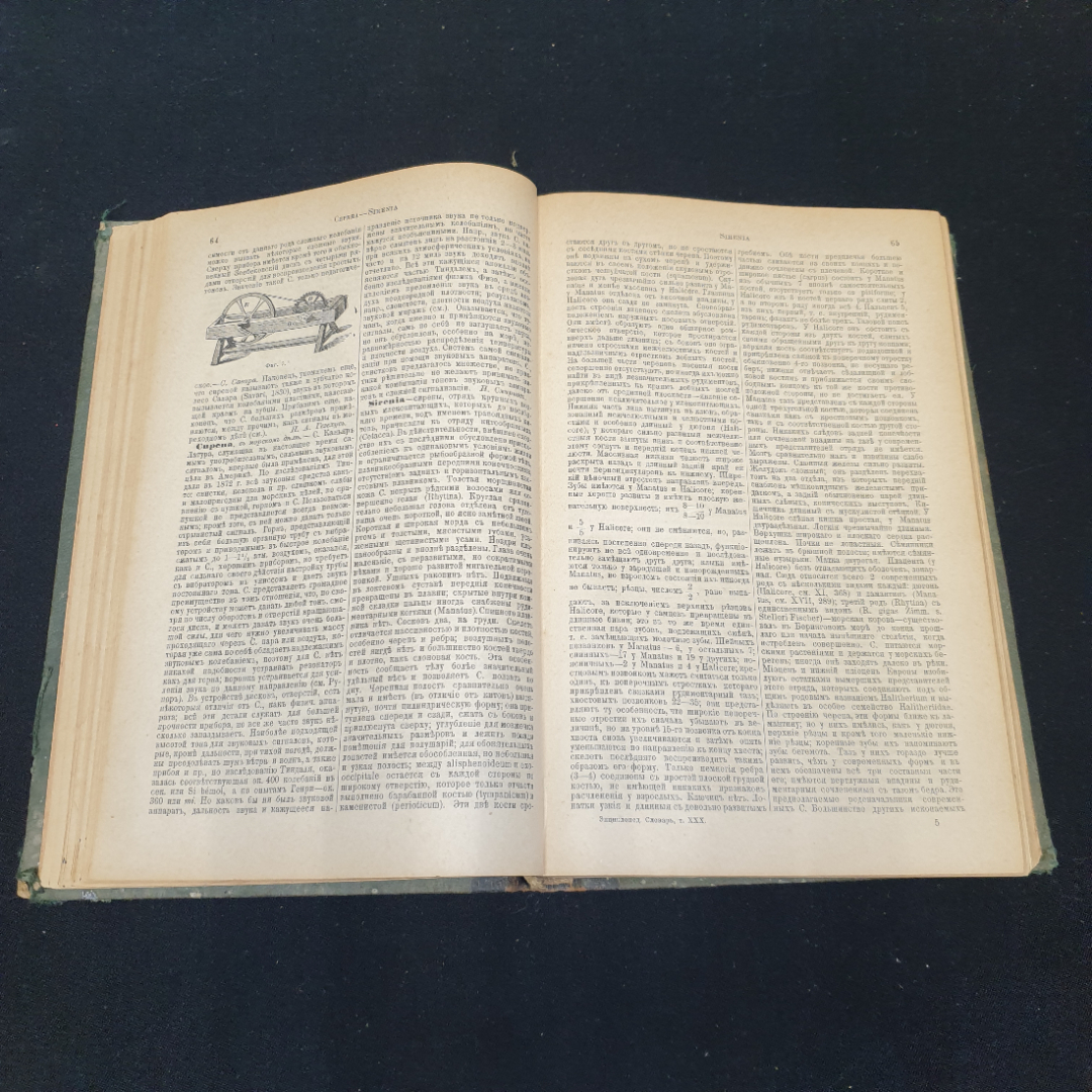 Энциклопедический словарь Брокгауза и Ефрона, том 59. Санкт-Петербург, 1900г. Картинка 5