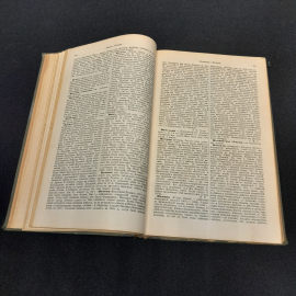 Энциклопедический словарь Брокгауза и Ефрона, том 45. Санкт-Петербург, 1898г. Картинка 4