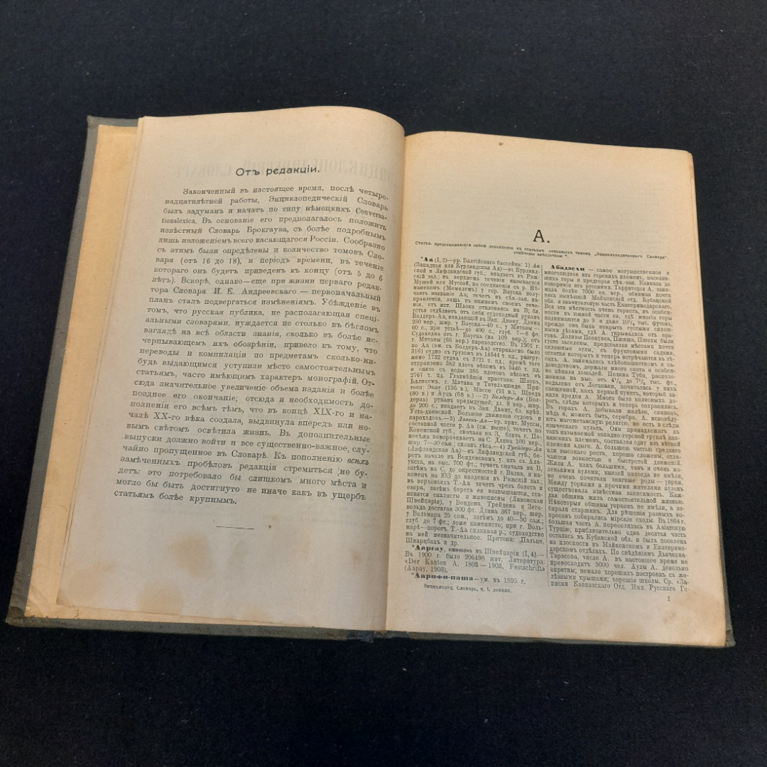 Энциклопедический словарь Брокгауза и Ефрона, том 1 дополнительный. Санкт-Петербург, 1905г. Картинка 3