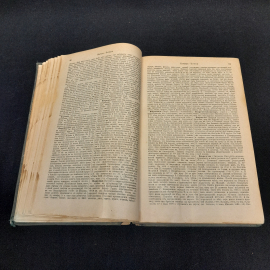 Энциклопедический словарь Брокгауза и Ефрона, том 3. Санкт-Петербург, 1891г. Картинка 4