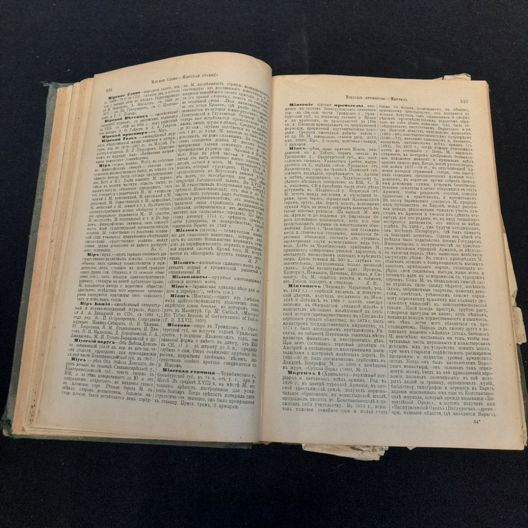 Энциклопедический словарь Брокгауза и Ефрона, том 38. Санкт-Петербург, 1896г. Картинка 5