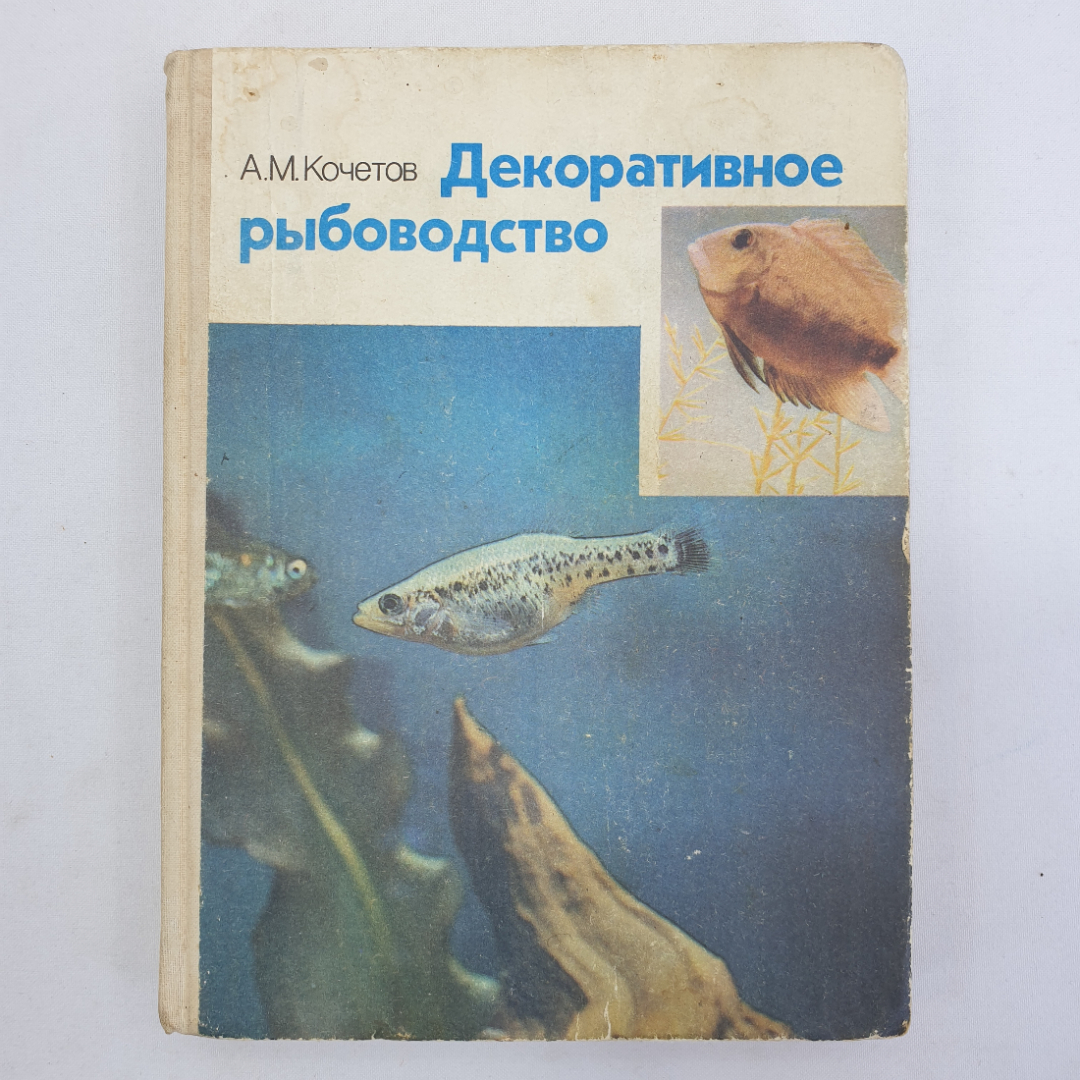 А.М. Кочетов "Декоративное рыбоводство", Москва, Просвещение, 1991г.. Картинка 1