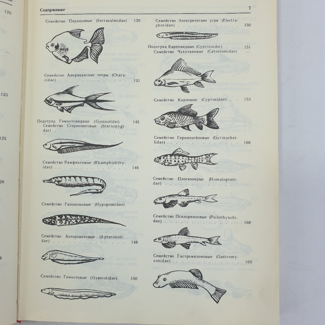 А.М. Кочетов "Декоративное рыбоводство", Москва, Просвещение, 1991г.. Картинка 7