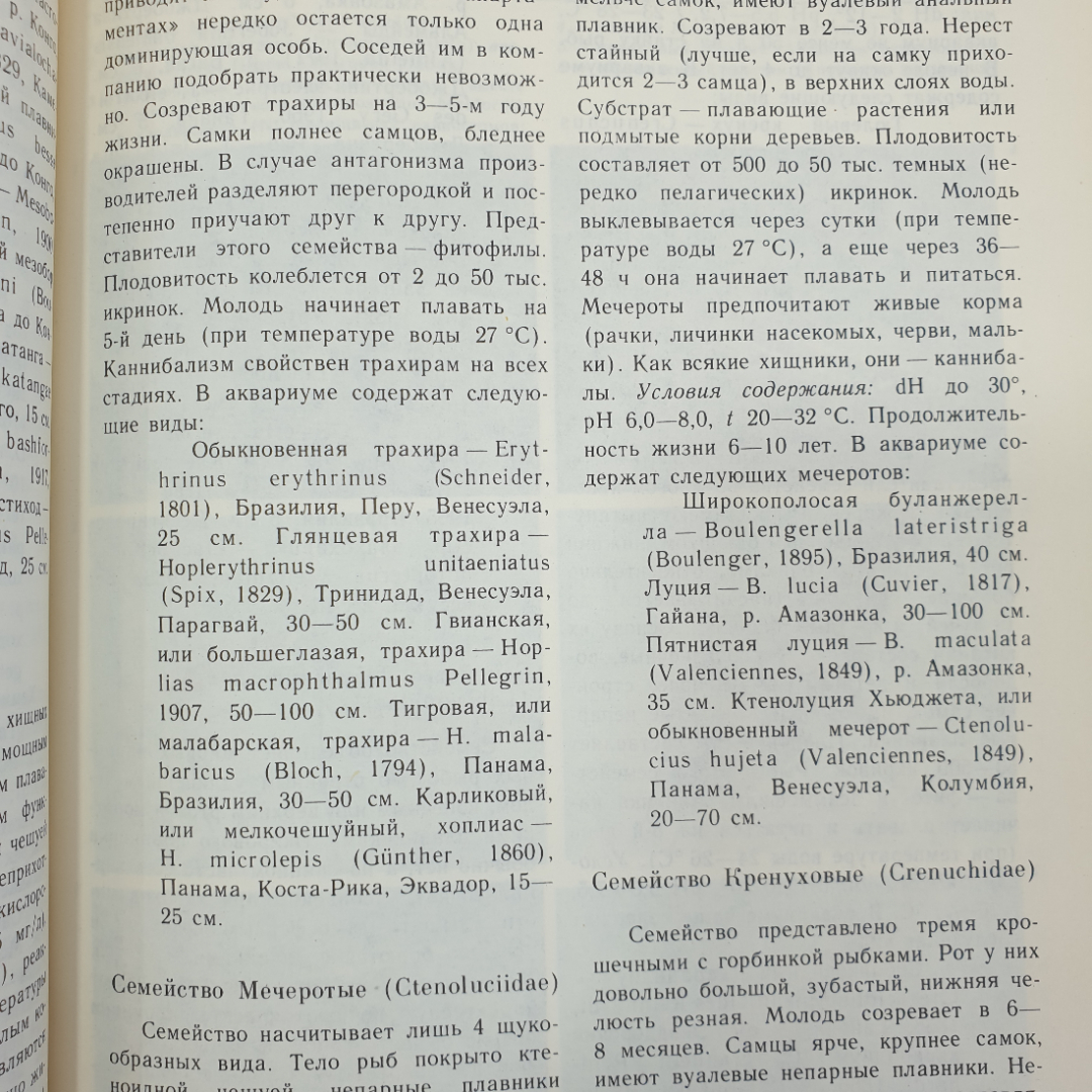 А.М. Кочетов "Декоративное рыбоводство", Москва, Просвещение, 1991г.. Картинка 15