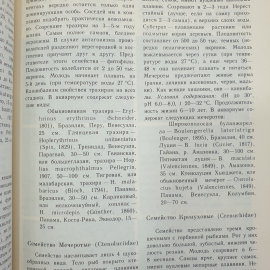 Картинка 10