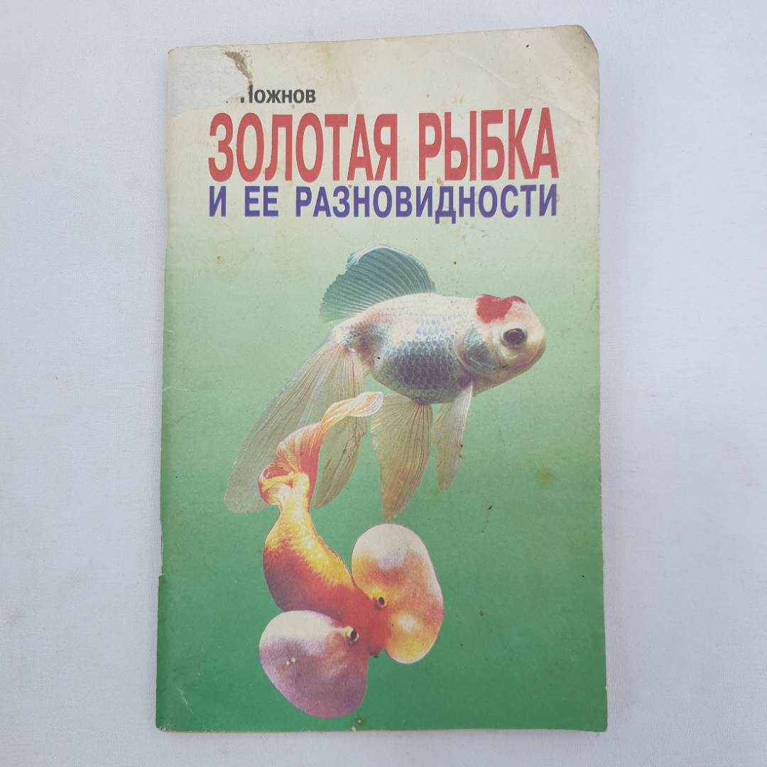 А. Ножнов "Золотая рыбка и ее разновидности", Москва, 2000г.. Картинка 1