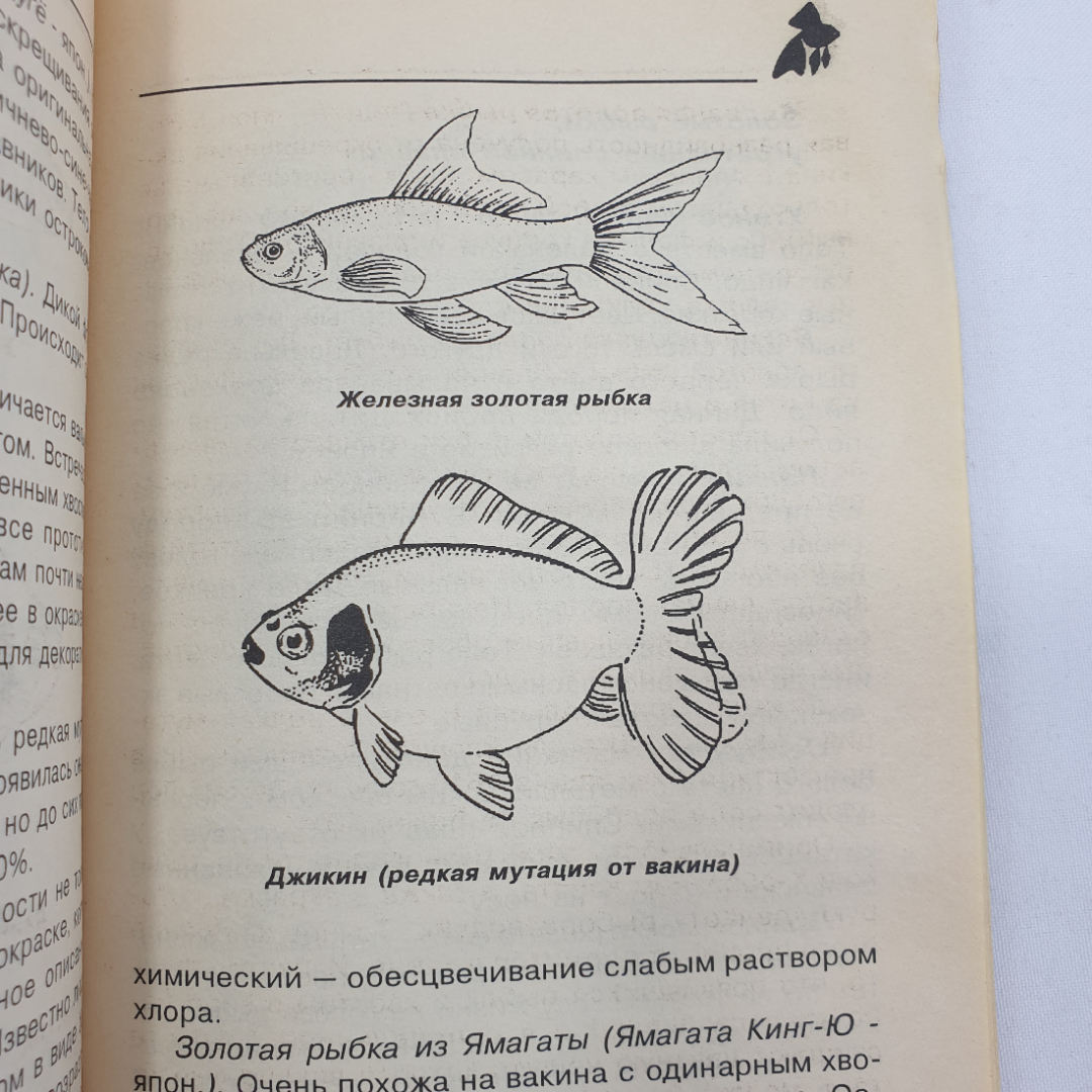 А. Ножнов "Золотая рыбка и ее разновидности", Москва, 2000г.. Картинка 9