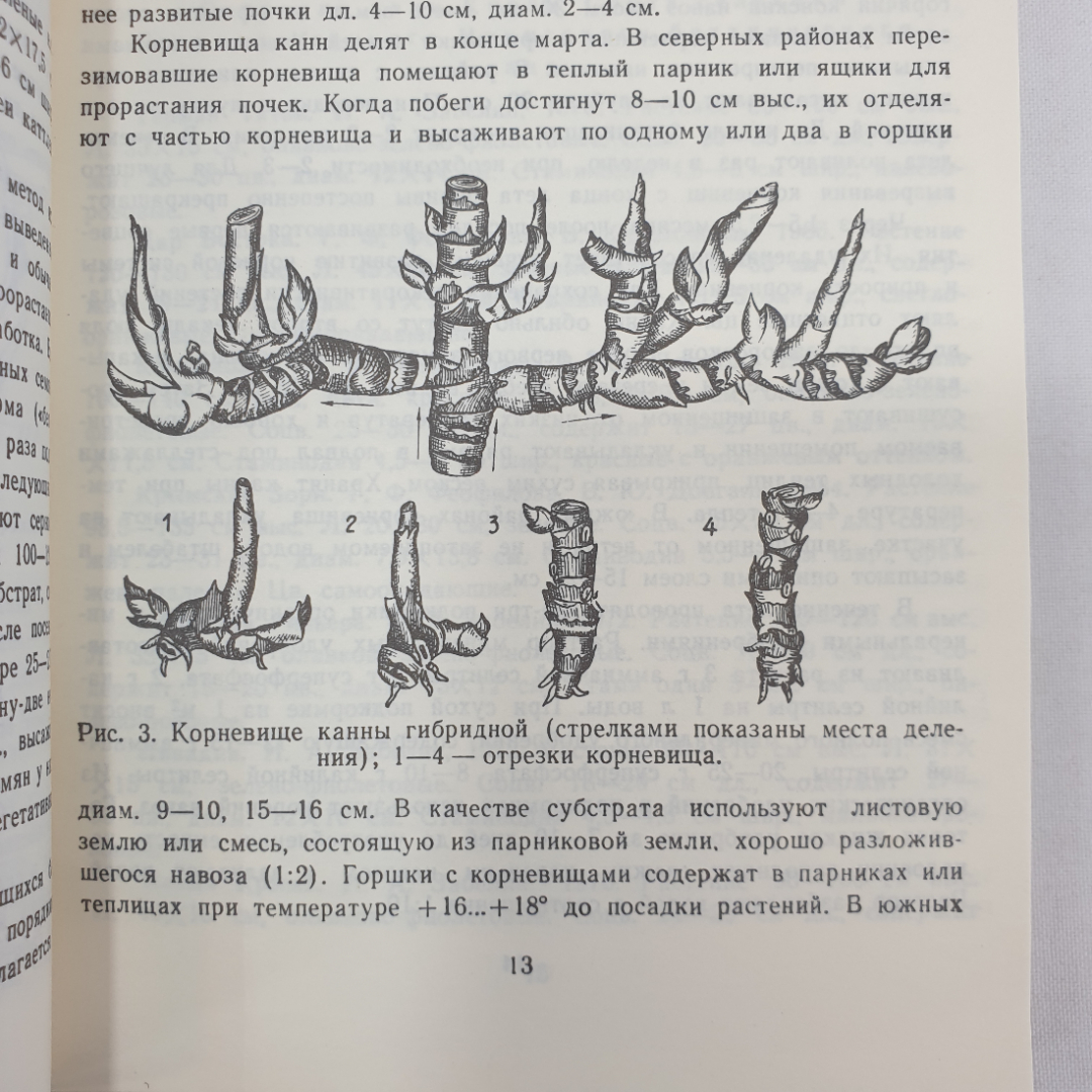 Л.Е. Соболева "Цветы в вашем саду", Симферополь, Таврия, 1988г.. Картинка 6