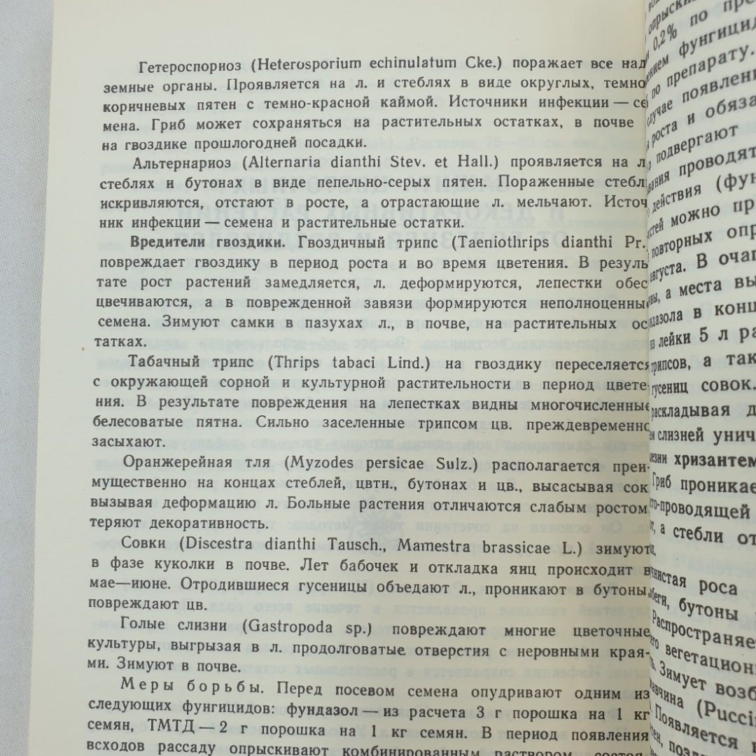 Л.Е. Соболева "Цветы в вашем саду", Симферополь, Таврия, 1988г.. Картинка 12