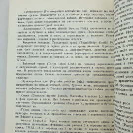 Л.Е. Соболева "Цветы в вашем саду", Симферополь, Таврия, 1988г.. Картинка 12