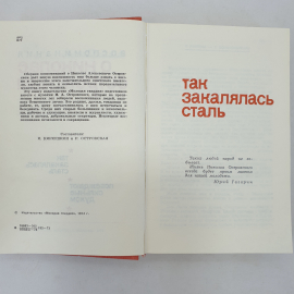 И. Кирюшкин, Р. Островская "Воспоминания о Николае Островском", Москва, Молодая гвардия, 1974 г.. Картинка 4