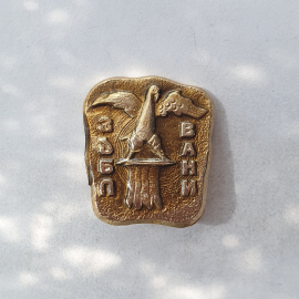 Значок "ВАНИ", СССР