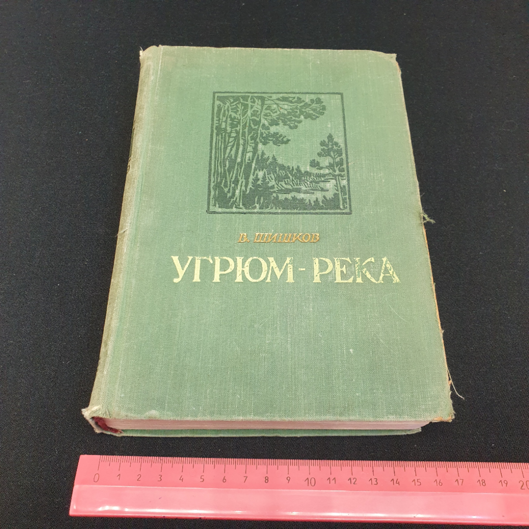 В. Шишков "Угрюм-река" роман, том первый, Киев, 1955. Картинка 12