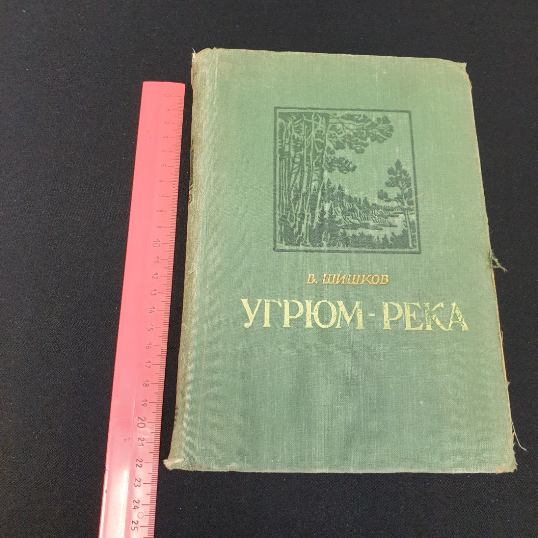 В. Шишков "Угрюм-река" роман, том первый, Киев, 1955. Картинка 13