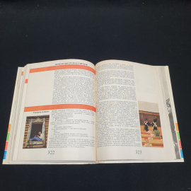 "Мир детства: подросток" под ред. А.Г. Хрипковой, изд. Педагогика,Москва, 1982. Картинка 7