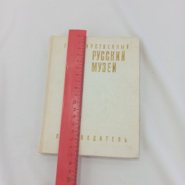 Государственный русский музей. Путеводитель. Изд. "Советский художник", 1969г. Картинка 10