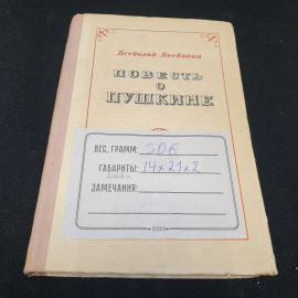 Повесть о Пушкине. Всеволод Воеводин. Изд. "Детгиз", 1955г. Картинка 13