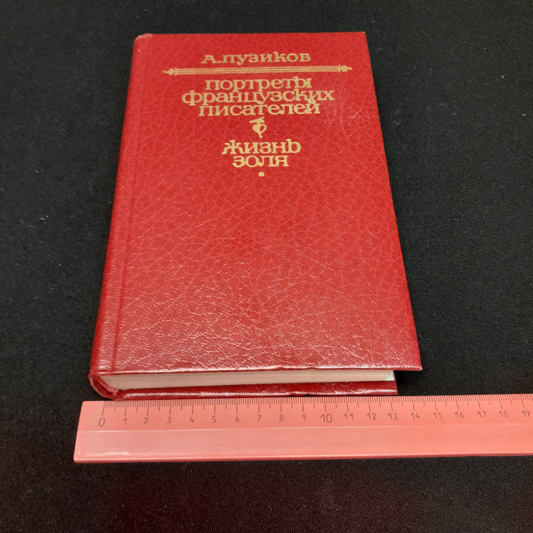 А. Пузиков "Портреты Французских Писателей" 2-е изд., Москва "Худож. литература" 1981. Картинка 2