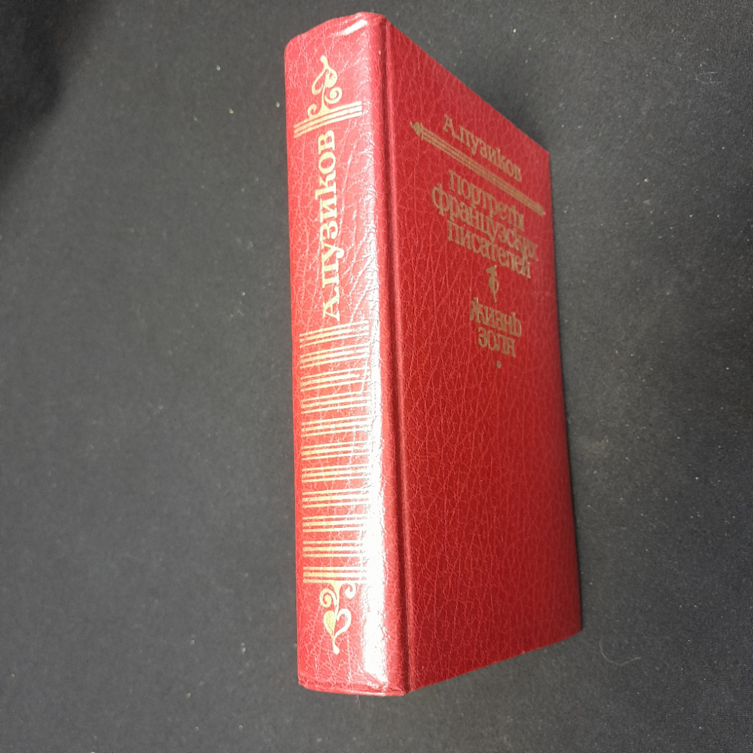 А. Пузиков "Портреты Французских Писателей" 2-е изд., Москва "Худож. литература" 1981. Картинка 3