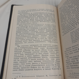 Русская литература и её зарубежные критики. Изд. Художественная литература, 1974г. Картинка 8