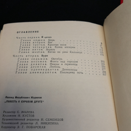 "Повесть о суровом друге". Леонид Жариков. Изд. Лениздат, 1976г. Картинка 8