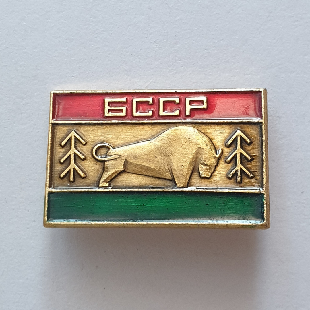 Значок "Белорусская СССР", БССР. Картинка 1