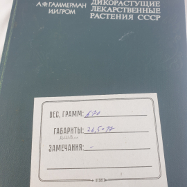 Картинка 9
