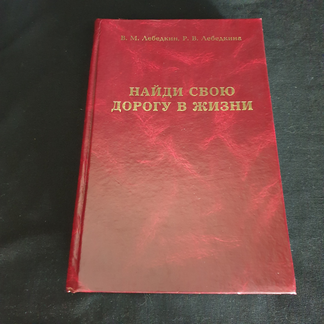 B. М. Лебедкин, Р. В. Лебедкина "Найди свою дорогу в жизни", изд. Вешние воды, 2005, тираж 1000 экз.. Картинка 1