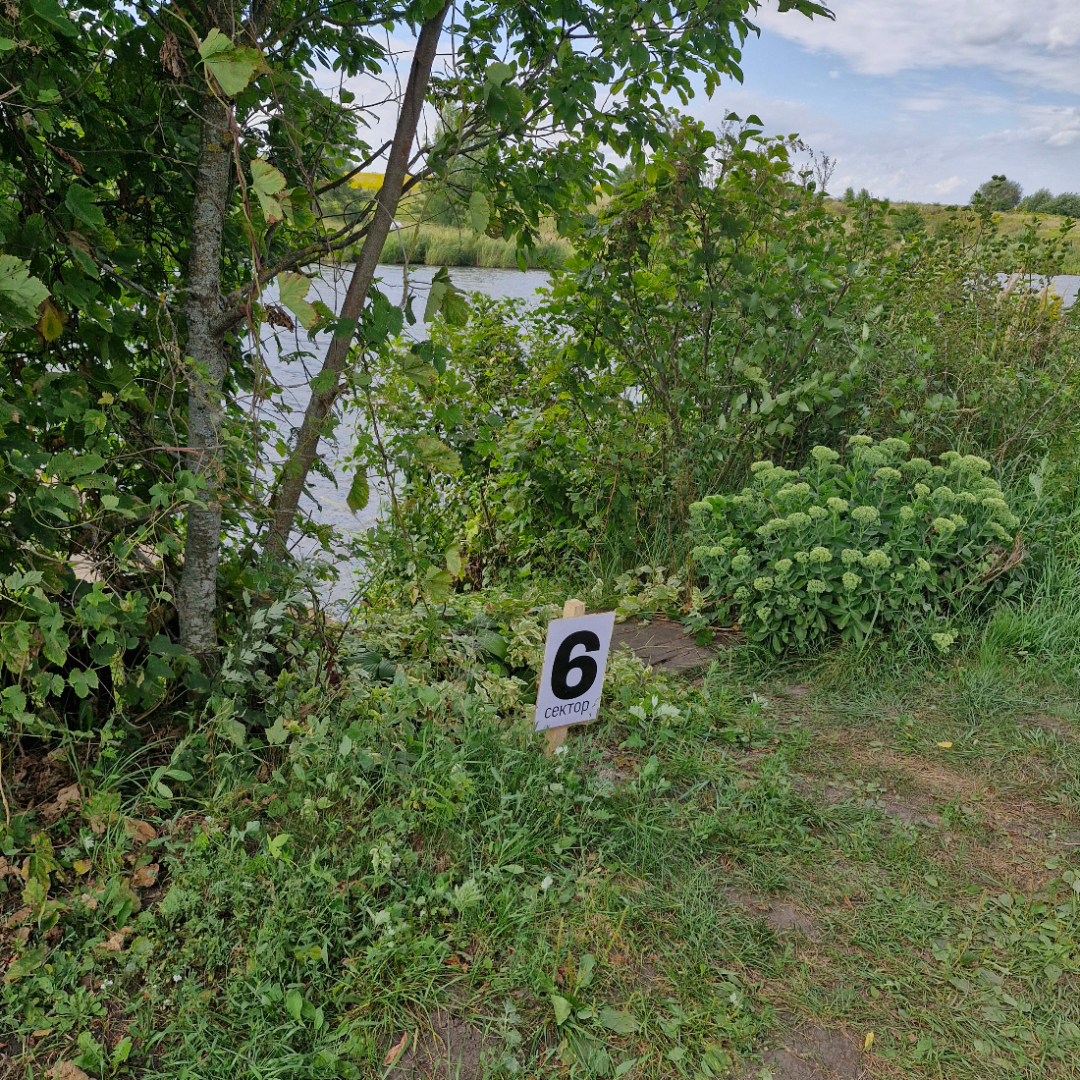 Картинка 3