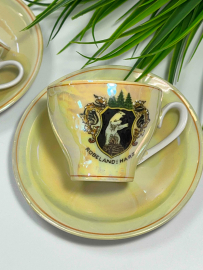 Кофейная пара Германии. Тонкий немецкий фарфор, перламутр, деколь. Цена за 1шт. Картинка 2