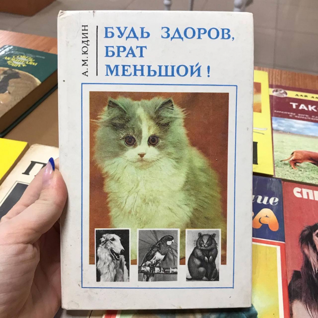 Книги о кошечках и собачках, винтаж, СССР. Картинка 3