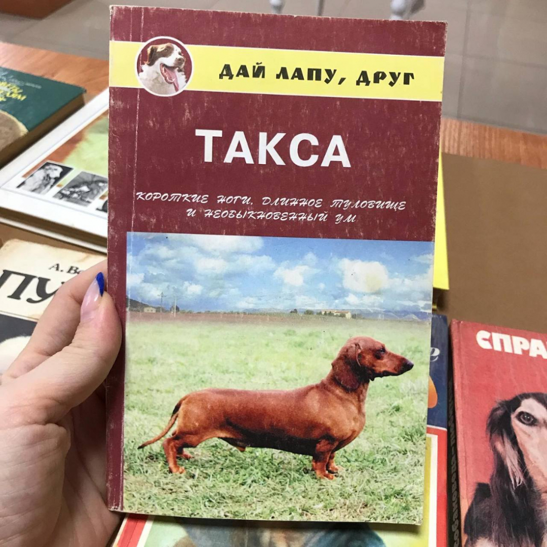 Книги о кошечках и собачках, винтаж, СССР. Картинка 5