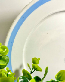 Большое блюдо Fortuna Eisenberg GDR, немецкий фарфор, деколь. Винтаж. Картинка 2