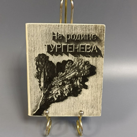 Книга «На Родине Тургенева» Афонин Л. Мищенко А., 120 страниц, 1968г.