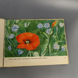 Книга «Учитесь рисовать» Стебловская Л.П., 1975г.. Картинка 7