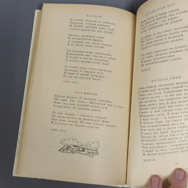 Книга «Стихотворения» Бунин И.А., 111 страниц, 1989г.. Картинка 10