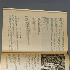 Книга «Мир монстров» Шелли М., По Э., Блок Р., 96 страниц, 2000г.. Картинка 7
