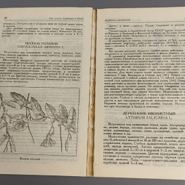 Книга «Растения и косметики» Дацковский С.Б., Дацковский Б.М., 102 страниц, 1994г.. Картинка 10