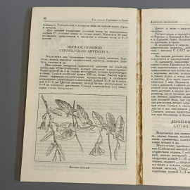Книга «Лекарственные травы и рецепты древних времен» Рабинович А.М, 175 страниц, 1991г.. Картинка 6