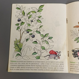 Книга «На кустике(ягоды)», 10 страниц, 2000г.. Картинка 3