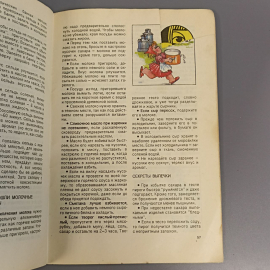 Книга «Домашний калейдоскоп», Р.А.Павасер, Из-во Колос, 79 страниц, 1993г.. Картинка 8