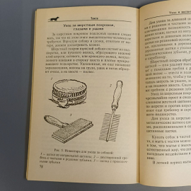 Книга «Таксы. Короткие ноги, длинное туловище и необыкновенный ум», 160 страниц, 2007г.. Картинка 9
