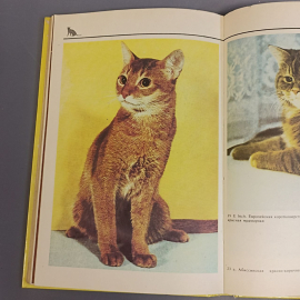 Книга «Домашние кошки», 254 страниц, 1991г.. Картинка 9