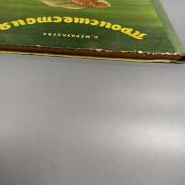 Книга «Проишествия под водой» Меркульева К., 91 страниц, 1957г.. Картинка 9