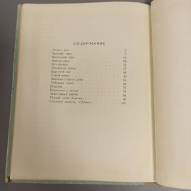 Книга «Чудаки», В.А. Левин и др. Из-во Просвещение. 190 страниц, 1994г.. Картинка 9