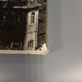 Книга "Прага в фотоснимках" Karel Plicka издательство: Pragensia, 193 страниц, 1960г. Винтаж. Картинка 9