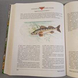 Книга "Большой атлас природы России" Р. Дайджест, издательство: Дом Р. Дайджест, 480 страниц, 2007г.. Картинка 8