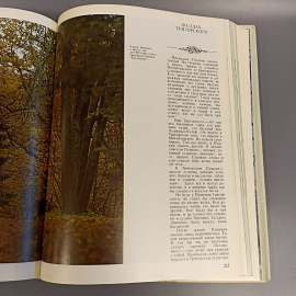 Книга "Приют, сияньем муз одетый" издательство: Планета, 367 страниц, 1988г. Винтаж. Картинка 7