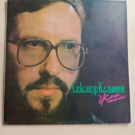 Виниловая пластинка Александр КАЛЬЯНОВ - Жена, жена.